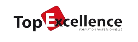 Logo TOP EXCELLENCE
